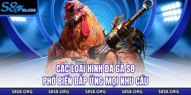 Các loại hình đá gà S8 phổ biến đáp ứng mọi nhu cầu