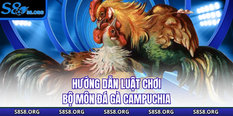 Hướng dẫn luật chơi bộ môn đá gà Campuchia