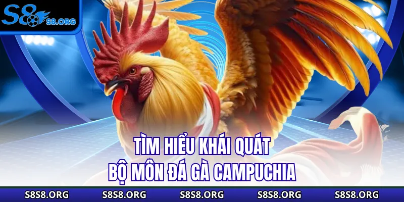 Tìm hiểu khái quát bộ môn đá gà Campuchia